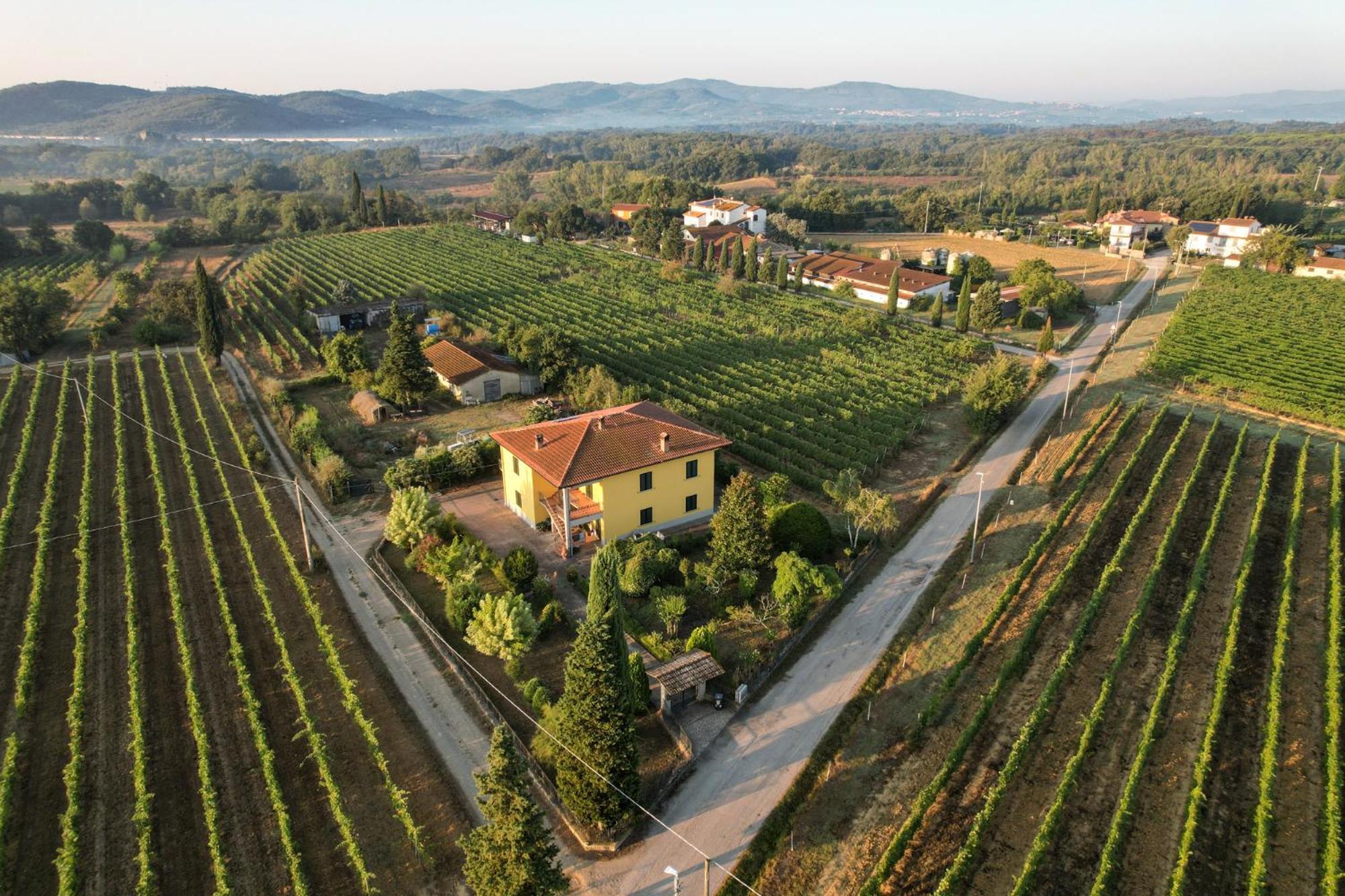 Cappannelle Country House Tuscany Castiglion Fibocchi Exterior photo