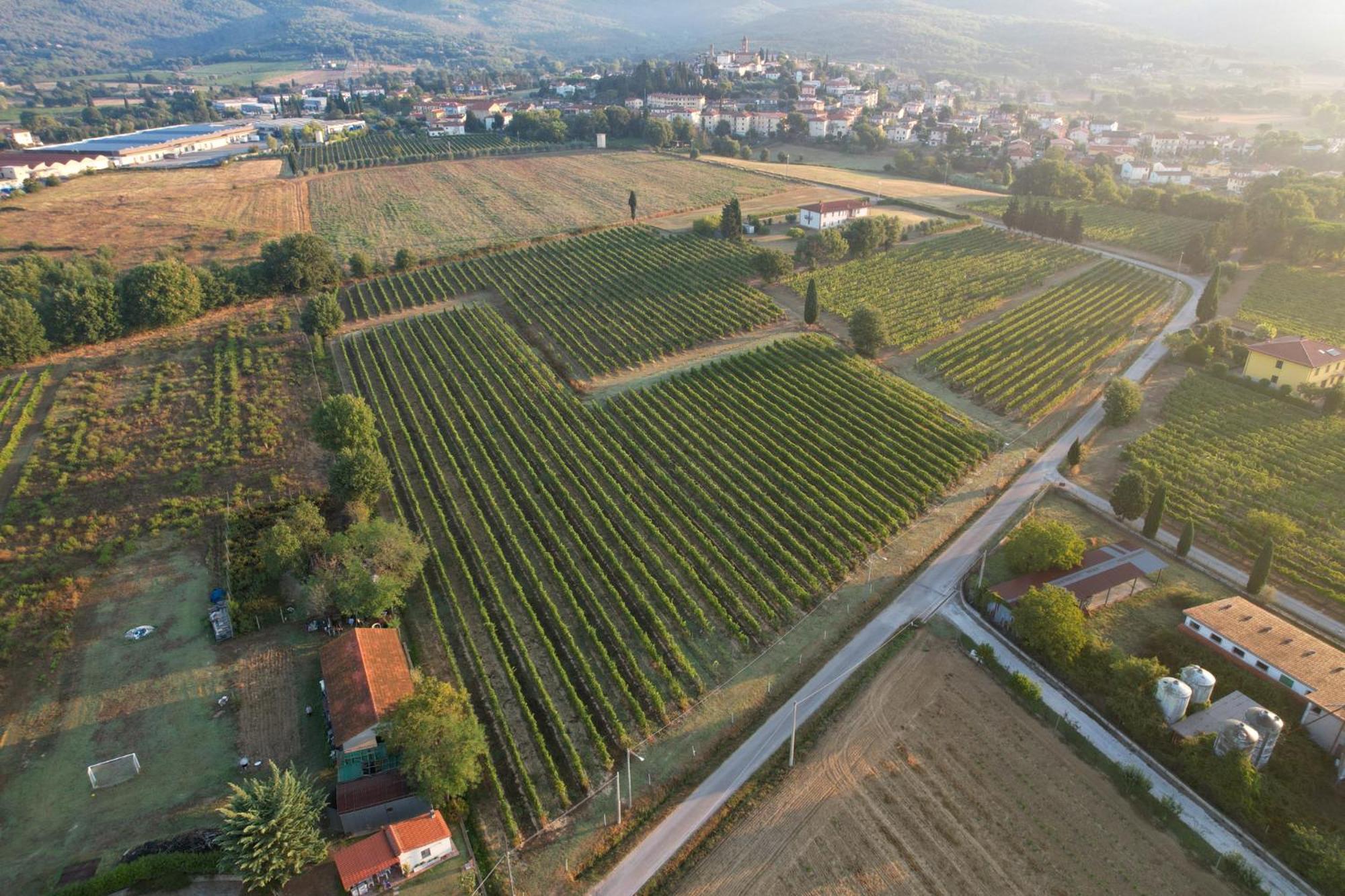 Cappannelle Country House Tuscany Castiglion Fibocchi Exterior photo