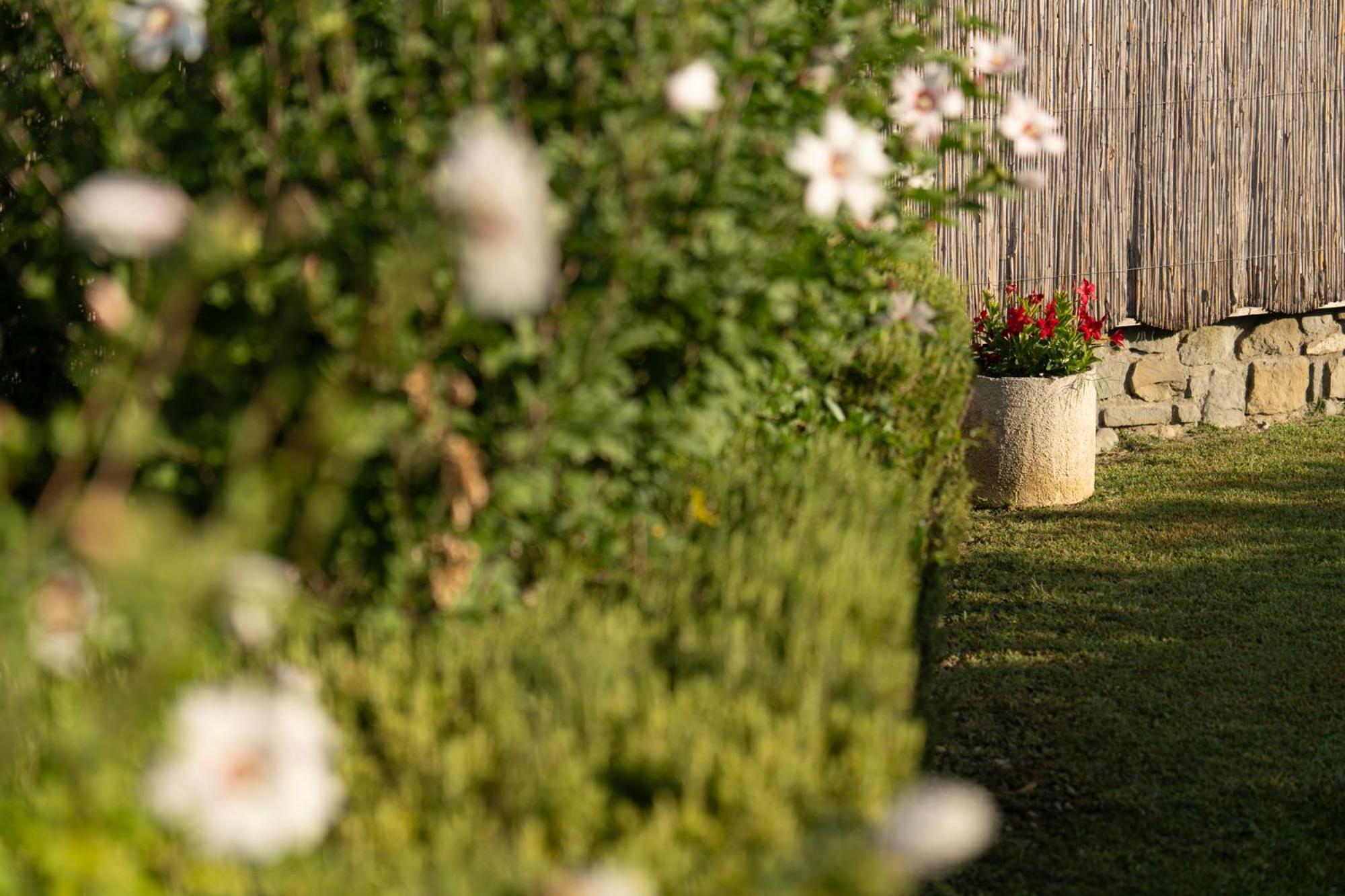 Cappannelle Country House Tuscany Castiglion Fibocchi Exterior photo