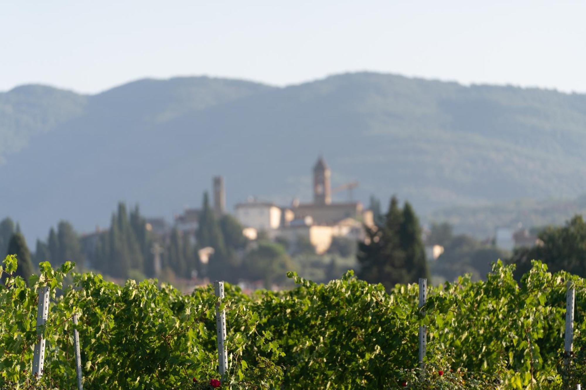 Cappannelle Country House Tuscany Castiglion Fibocchi Exterior photo